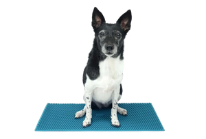 FitPaws K9 FitMat