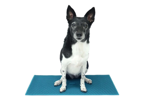 FitPaws K9 FitMat