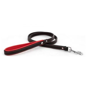 PADDED HANDLE LEASH by Auburn