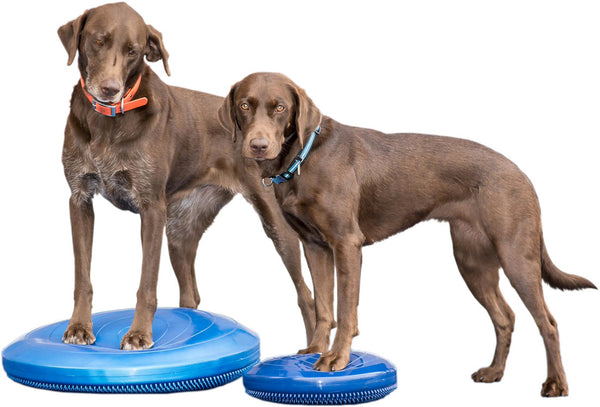 FitPAWS® BALANCE DISKS