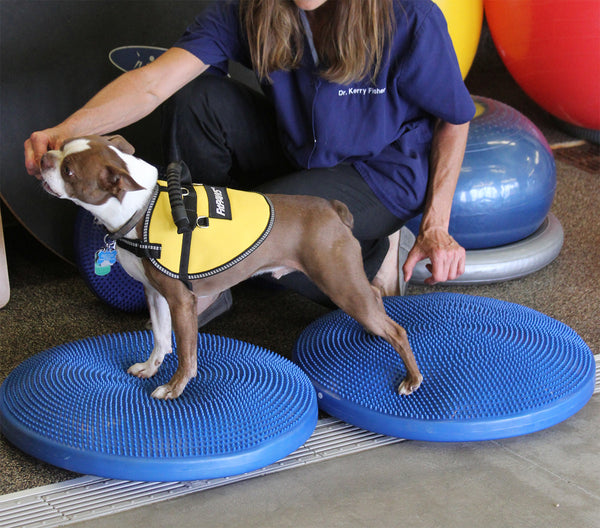 FitPAWS® BALANCE DISKS