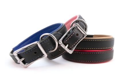 PADDED LEATHER COLLAR by Auburn