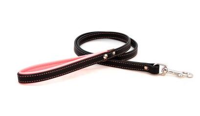 PADDED HANDLE LEASH by Auburn