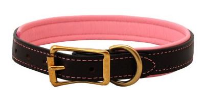 PADDED LEATHER COLLAR by Auburn