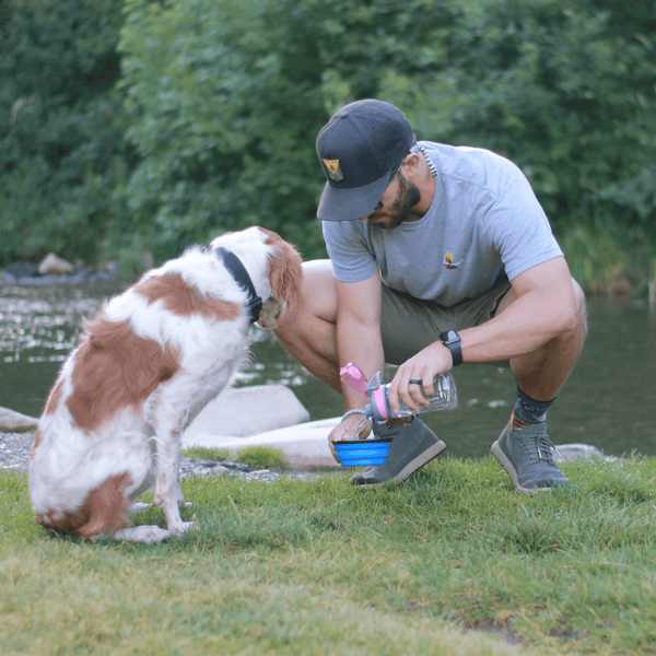 COLLAPSIBLE WATER BOWL