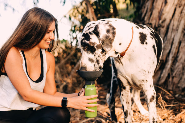 Auto Dog Mug SPLASH RING