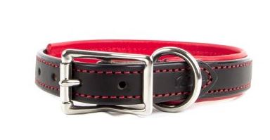 PADDED LEATHER COLLAR by Auburn